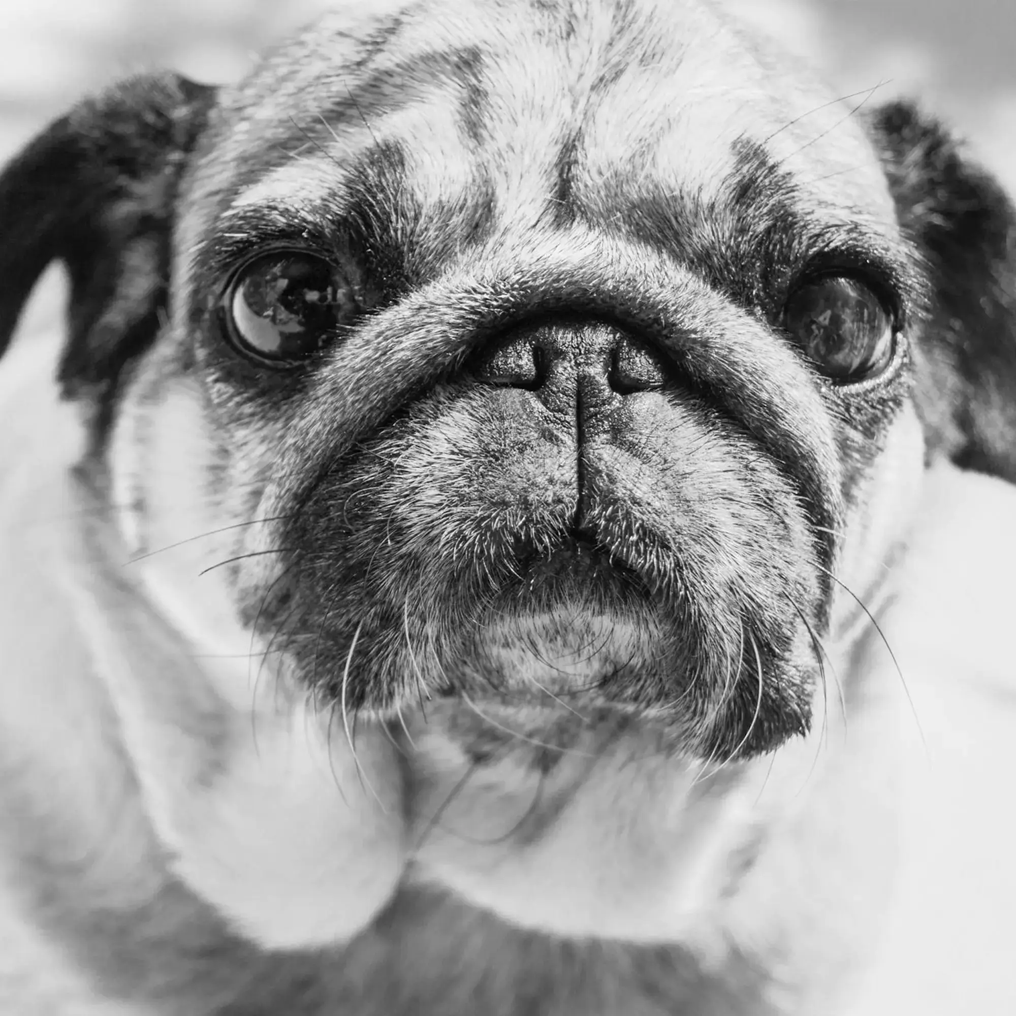 Impressionist painting style